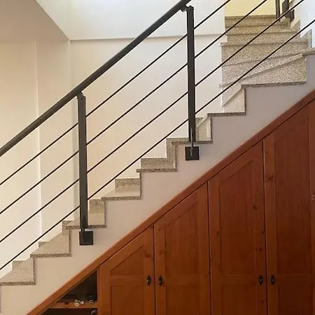 Musa Paradisiaca Las Aguas