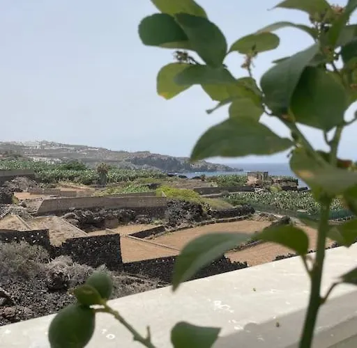 شقة Musa Paradisiaca Las Aguas