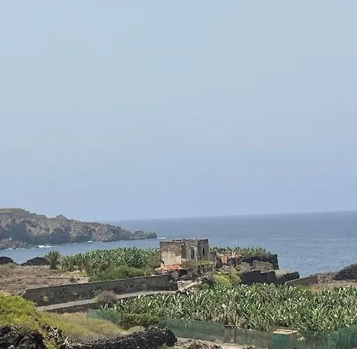 شقة Musa Paradisiaca *