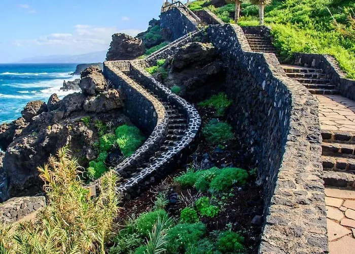 Musa Paradisiaca * Las Aguas